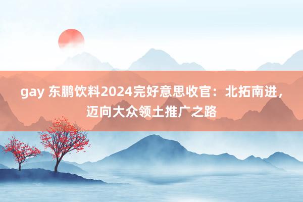 gay 东鹏饮料2024完好意思收官：北拓南进，迈向大众领土推广之路