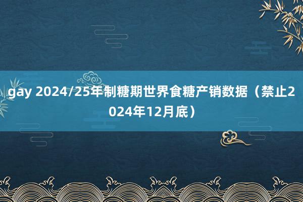 gay 2024/25年制糖期世界食糖产销数据（禁止2024年12月底）