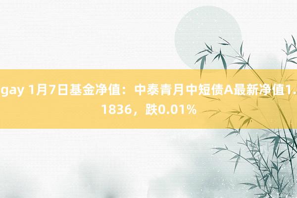 gay 1月7日基金净值：中泰青月中短债A最新净值1.1836，跌0.01%