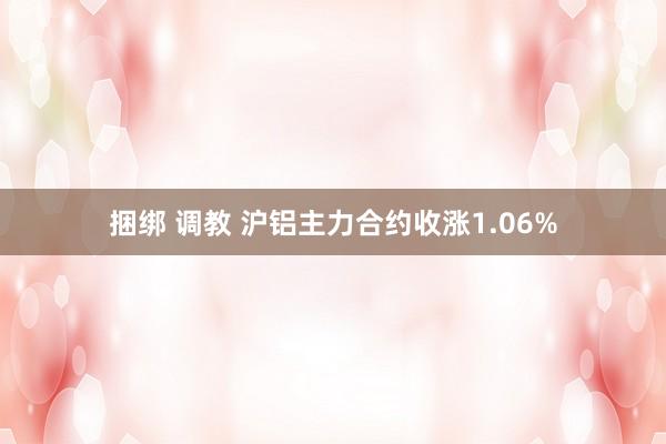 捆绑 调教 沪铝主力合约收涨1.06%