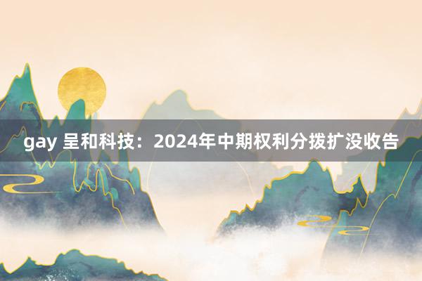 gay 呈和科技：2024年中期权利分拨扩没收告