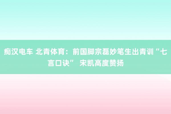 痴汉电车 北青体育：前国脚宗磊妙笔生出青训“七言口诀”  宋凯高度赞扬