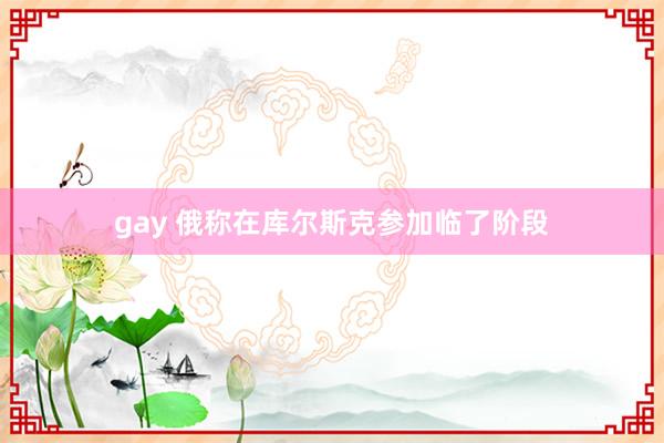 gay 俄称在库尔斯克参加临了阶段